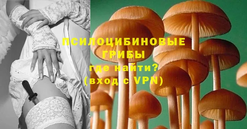 это какой сайт  как найти закладки  Новопавловск  Галлюциногенные грибы прущие грибы  blacksprut как зайти 